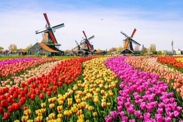 Hollanda