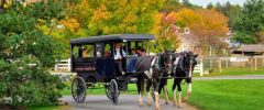 Amishler, Amerika’da Enteresan Bir Topluluk
