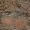 Tyche Heykeli Ve Orpheus Mozaiği